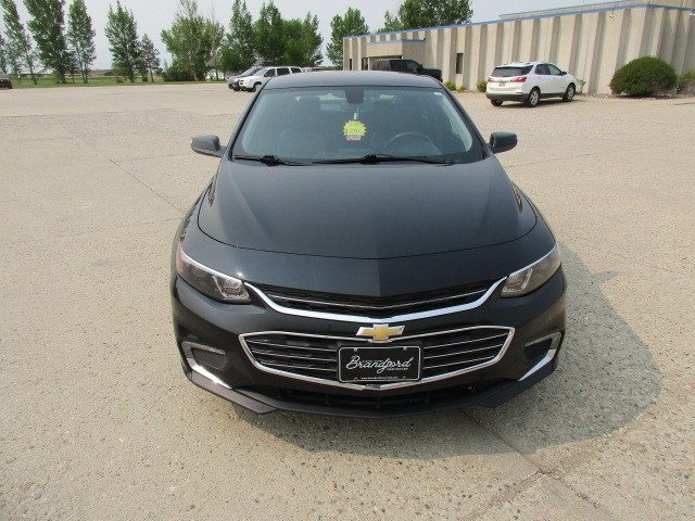 Used 2017 Chevrolet Malibu 1LT with VIN 1G1ZE5ST4HF202841 for sale in Harvey, ND