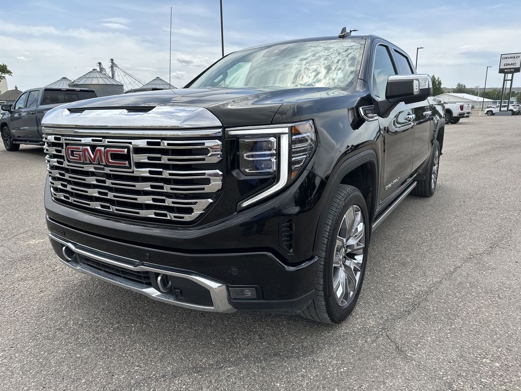 2024 Gmc Sierra 1500 Denali photo 3