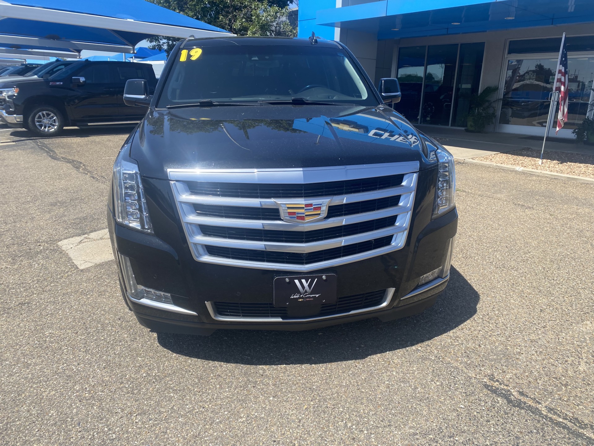 Used 2019 BLACK RAVEN Cadillac Premium Luxury image 2