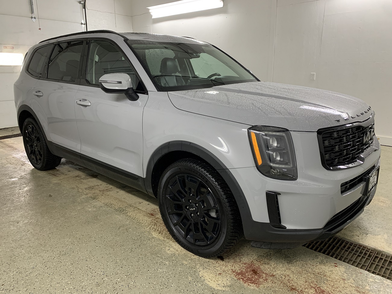 2022 Kia Telluride EX's photo
