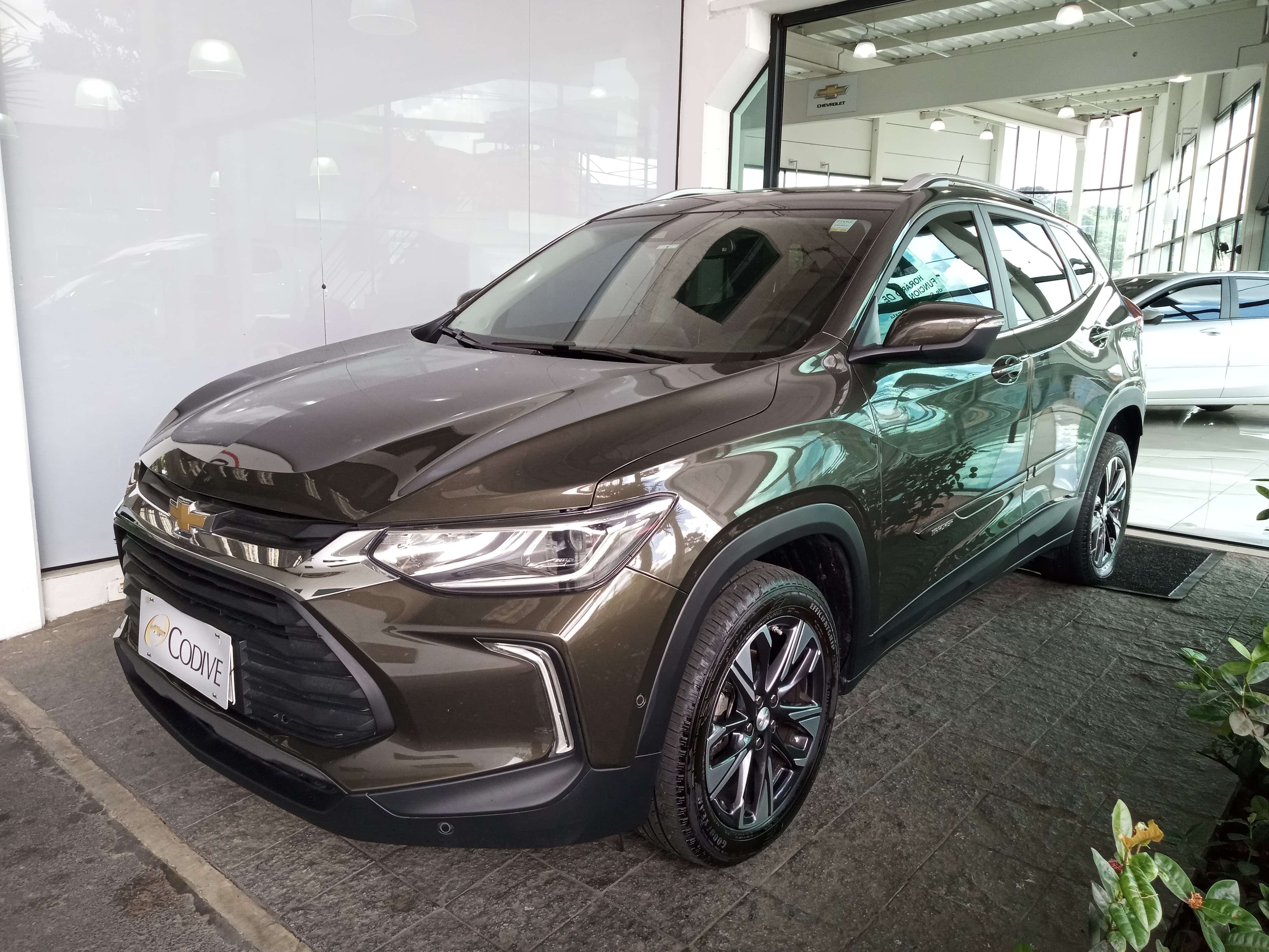 avip_cdn_image1770051511