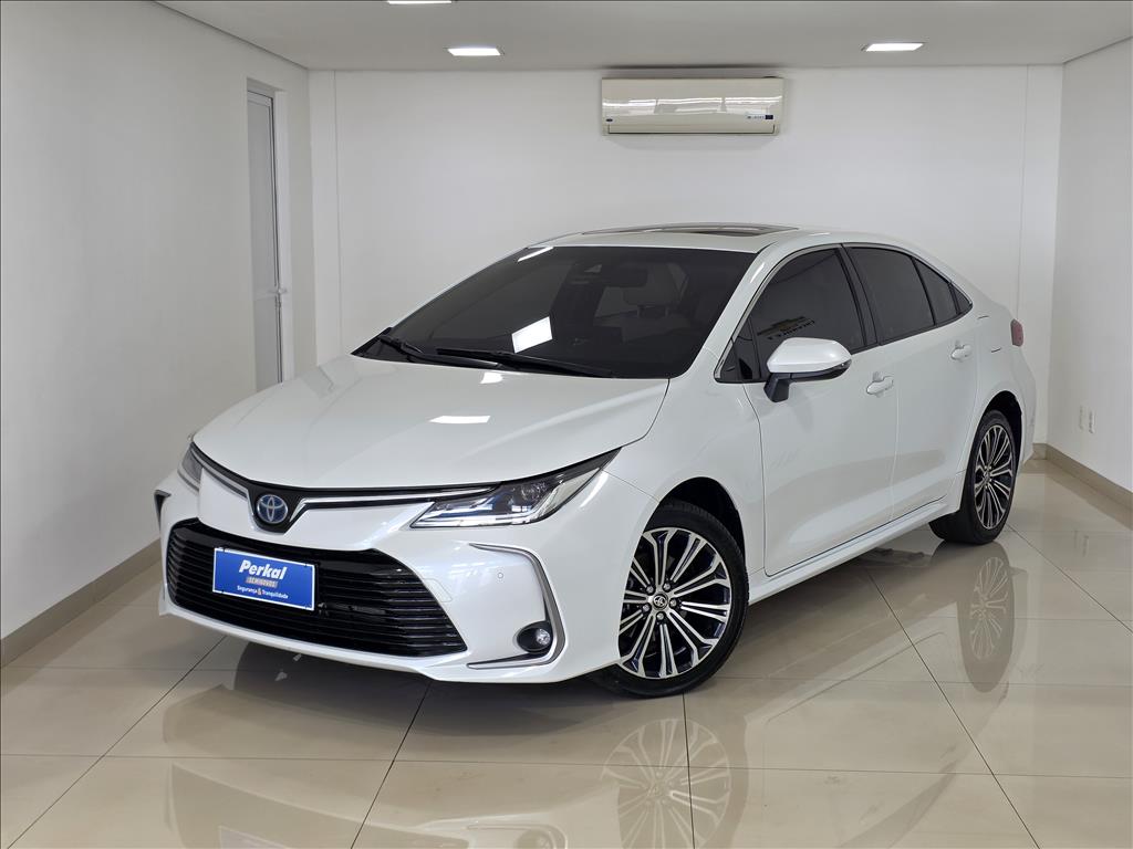 avip_cdn_image1769861489