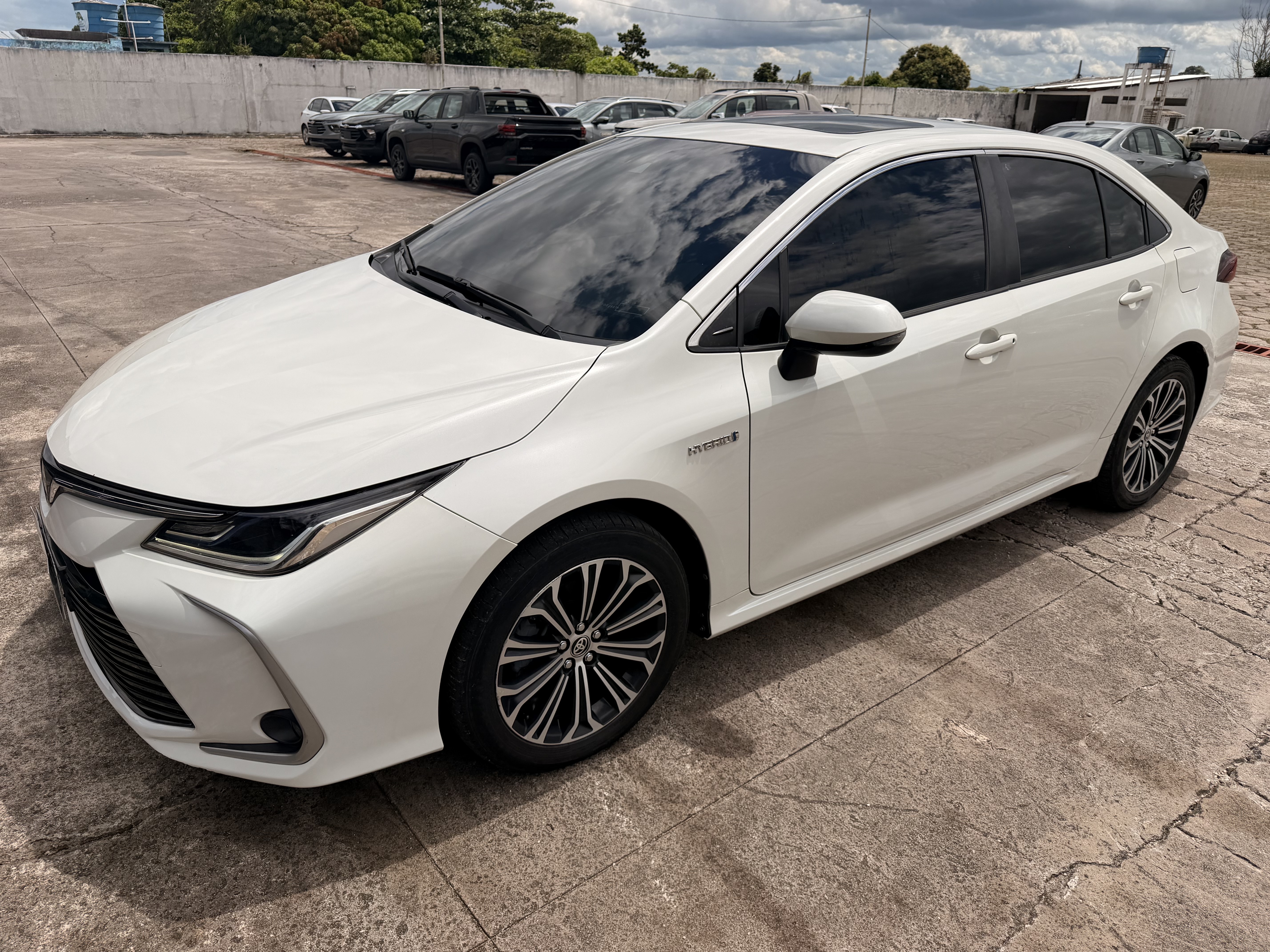 avip_cdn_image1785604727