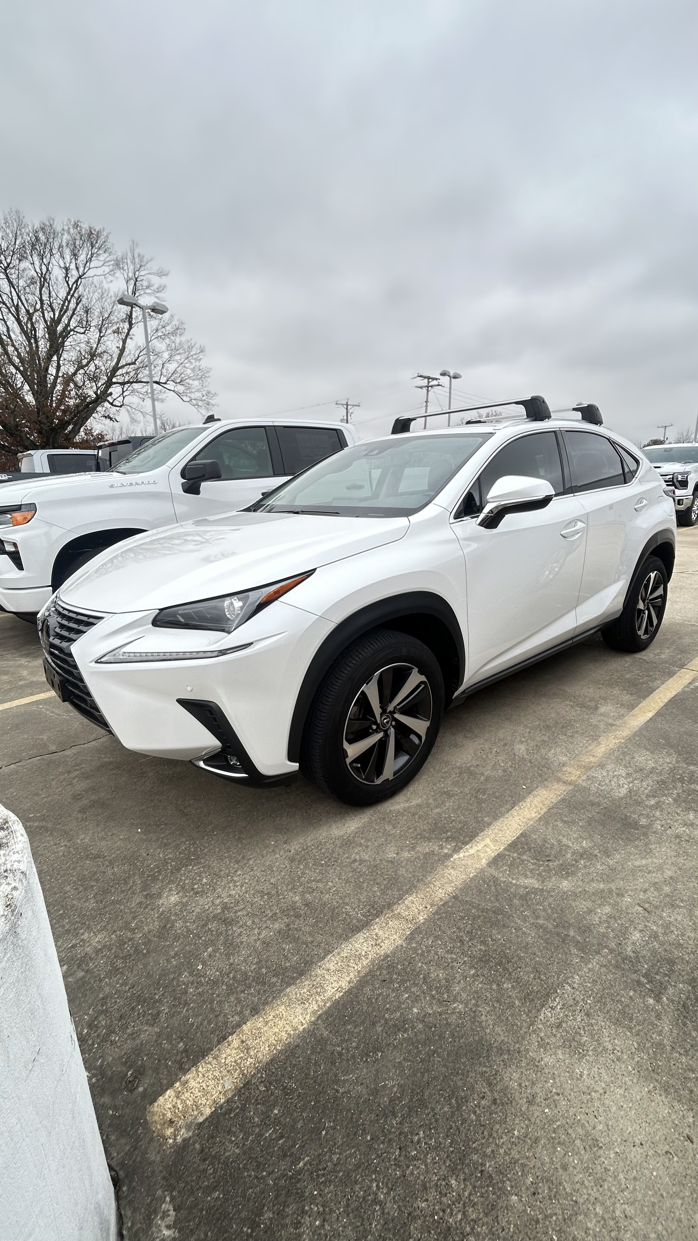 2021 Lexus NX